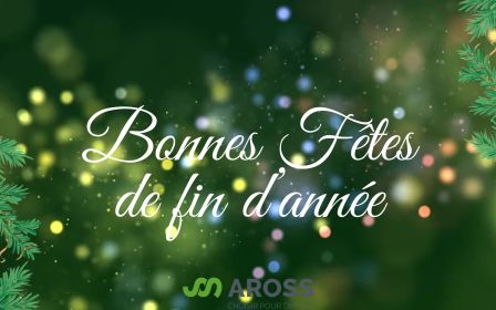 Joyeuses Fêtes 